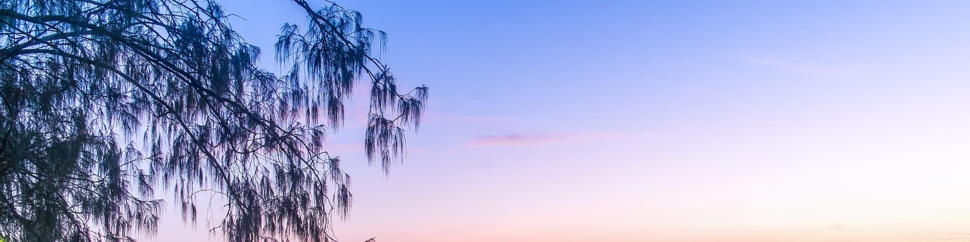 A pier extending into calm waters at sunset with a rocky foreground and trees.