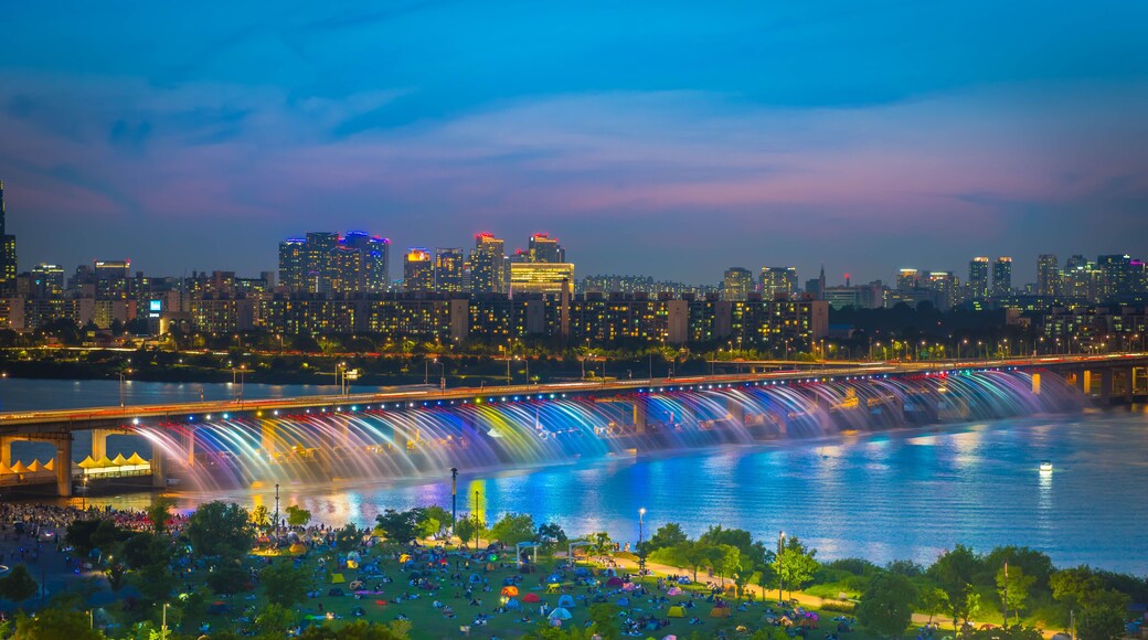 A night view of Banpo Bridge, Seoul city with Rainbow Fountain. Industrial, light.