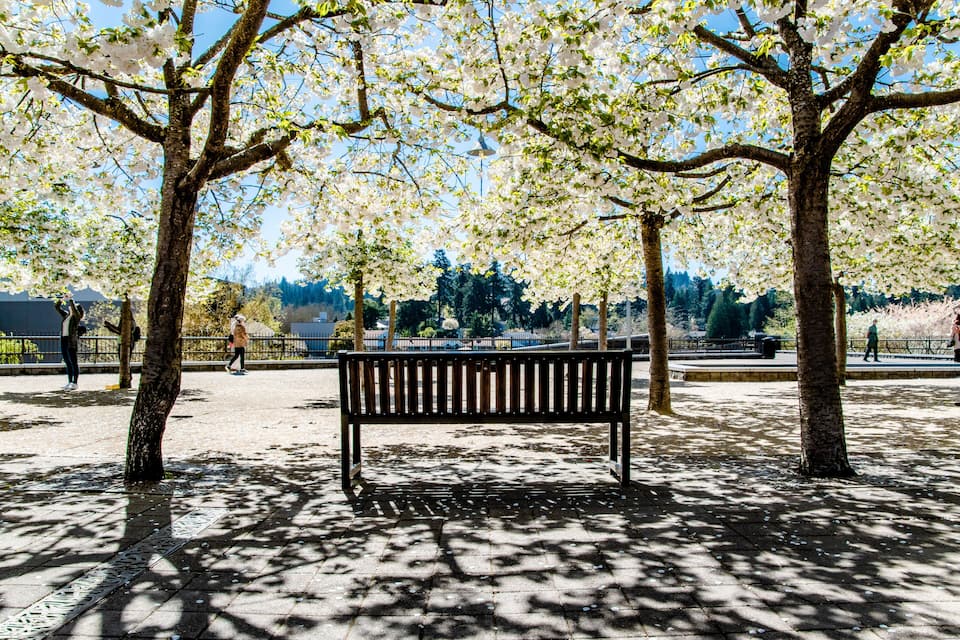 Un parc avec un banc, des arbres et un chemin piétonnier dallé.