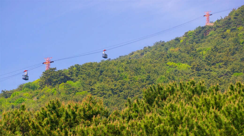 Seilbahn Namsan
