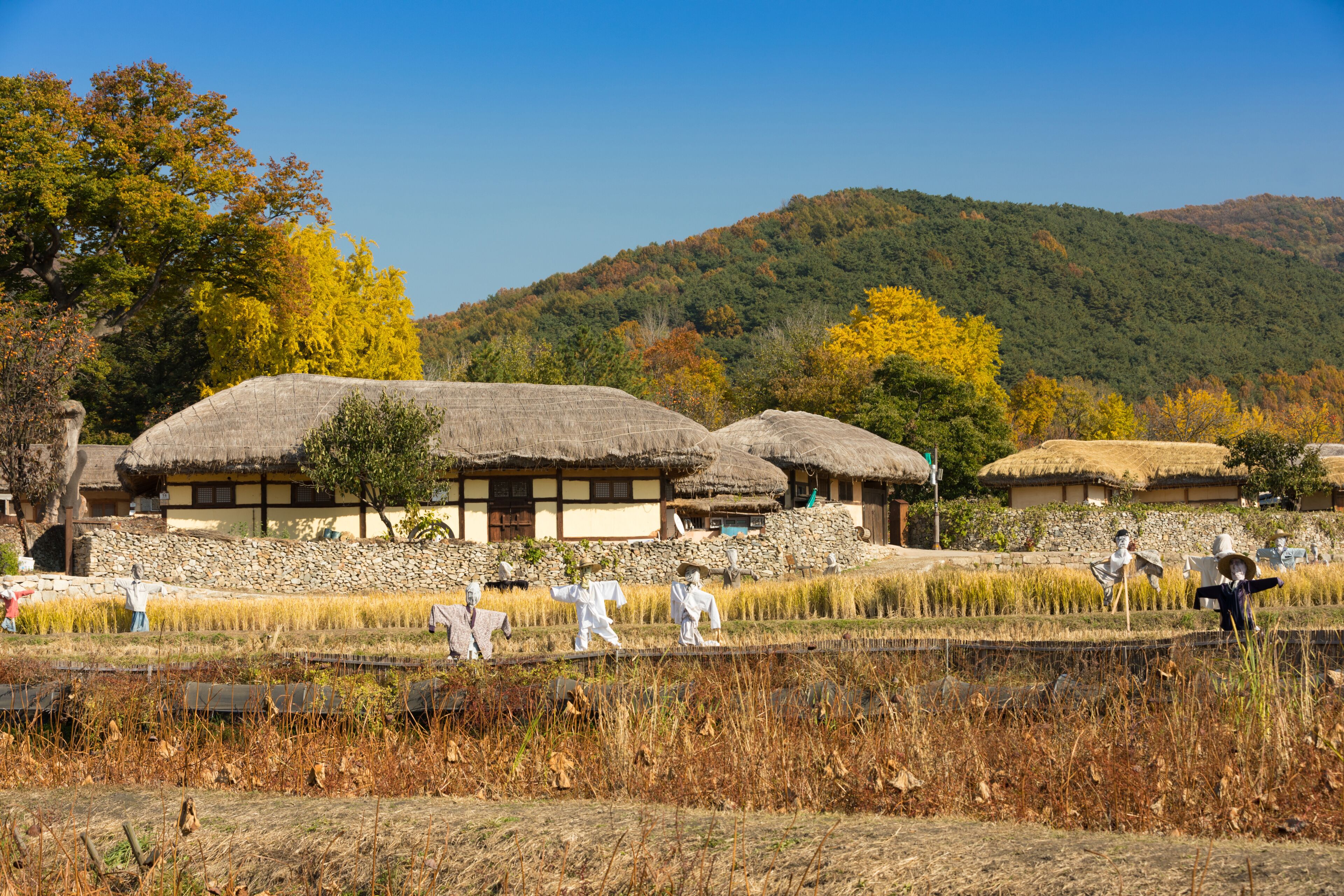 Korean traditional thatched house. Traditional farm village in Asan Oeam folk village, South Korea.