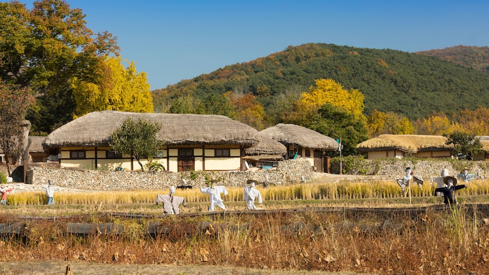 Traditional thatched-roof houses, a rice paddy field, and a forested hillside.