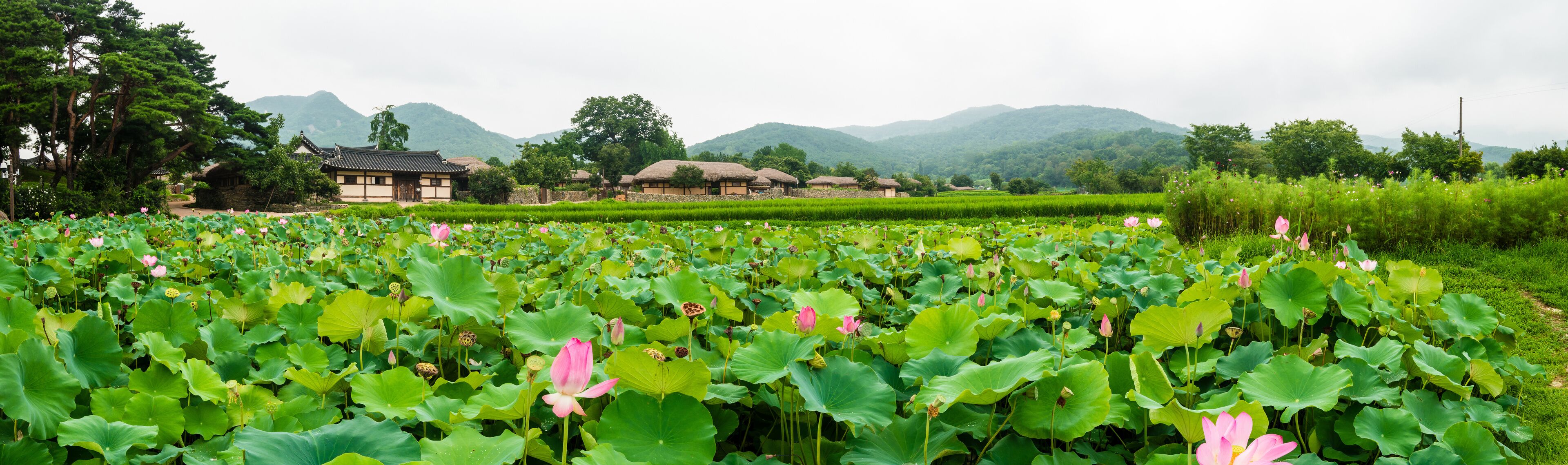 Panoramic photo of Oeam Village, a traditional village in Korea.
