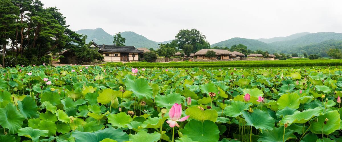 Panoramic photo of Oeam Village, a traditional village in Korea.