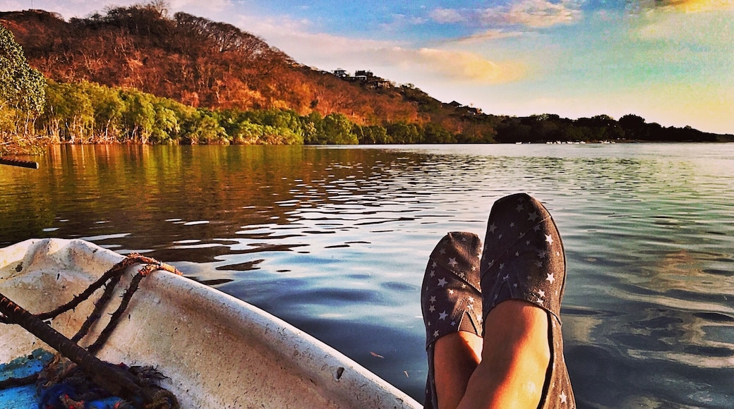 There is excellent bird and wildlife watching in the park. The nearby Tamarindo Wildlife Refuge, a salt water mangrove estuary, is thick with black-bellied whistling ducks, roseate spoonbills, yellow-crowned night herons, kingfishers and crocodiles. Howler monkeys, raccoons and coatimundis are also frequently spotted.