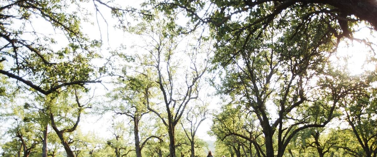 Two sisters in boho outfits are walking around the village. Beautiful, summer landscape. Country Holiday...