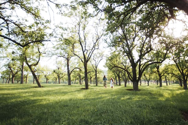 Two sisters in boho outfits are walking around the village. Beautiful, summer landscape. Country Holiday...