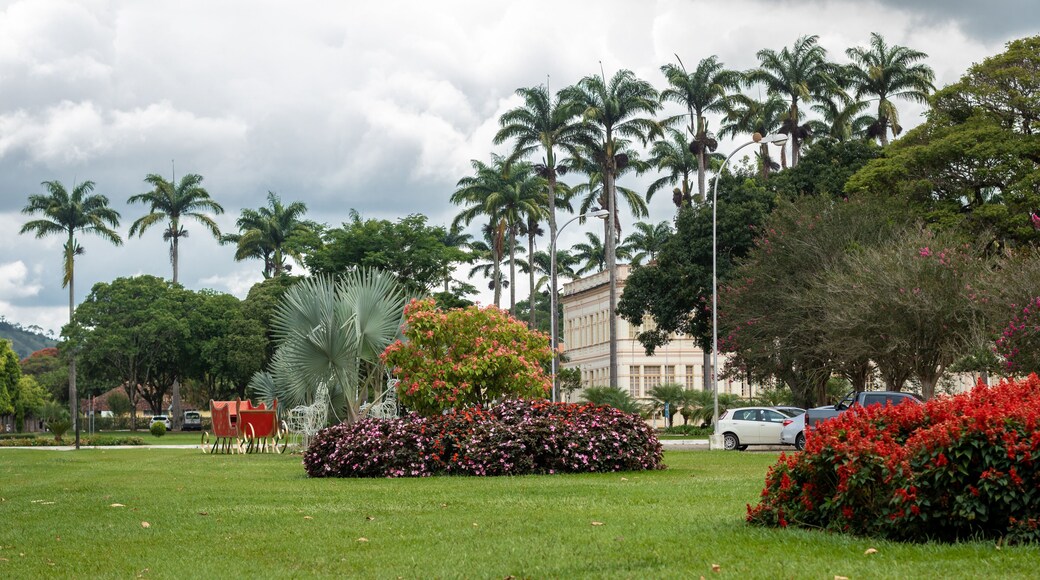 Viçosan osavaltion yliopisto