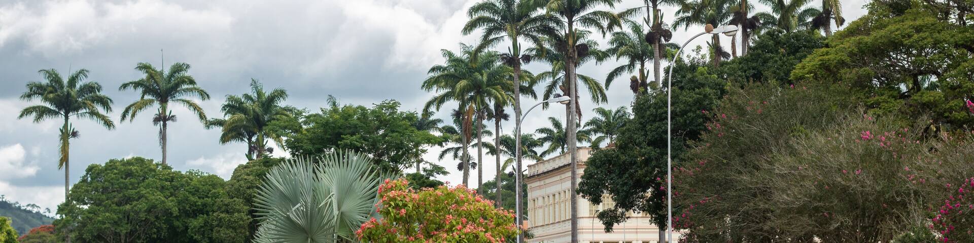 Un parque con palmeras, un edificio y flores rojas.