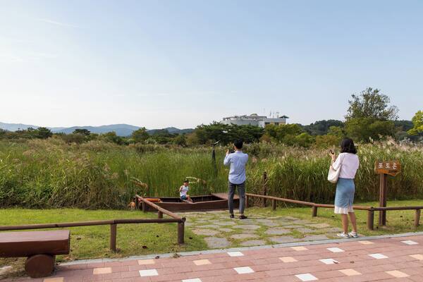 Suncheon_SuncheonmanBayEcologicalPark_553248621555815191_-2