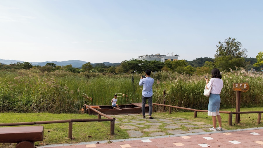 Suncheonman Bay Ecological Park