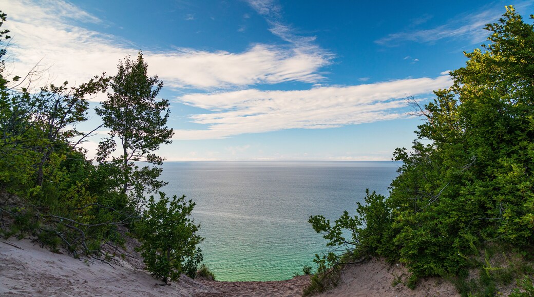 Log Slide Scenic Overlook