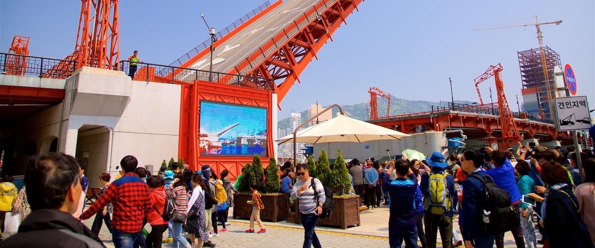 Puente Yeongdodaegyo que incluye una ciudad y un puente y también un pequeño grupo de personas