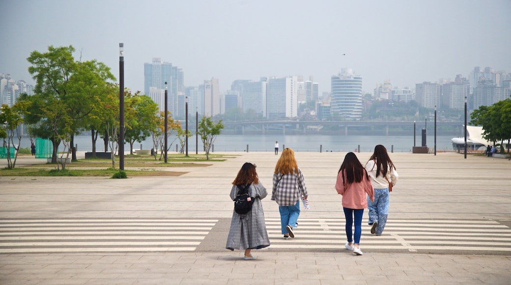 Yeouido Hangang Park showing a square or plaza as well as a small group of people