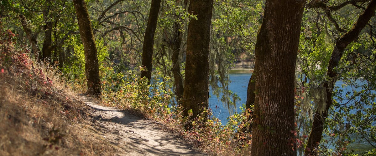 Hiking trail through oak trees in the Sonoma Valley Regional Park in Glen Ellen, California during summer. Wine Country getaway.