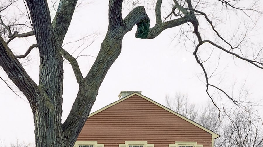 Ngôi nhà cổ Văn phòng đại diện của Người da đỏ