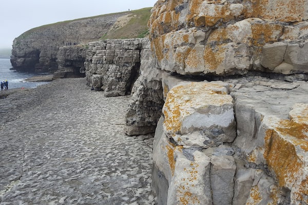 I'd never heard of this little place until Monday. A short detour downhill from the SW coastal path and you will find yourself here. This is a wave cut platform formed over thousands of years. The layered geology of the landscape is so clear to see as you climb down onto the platform or the dancefloor as it is known.
