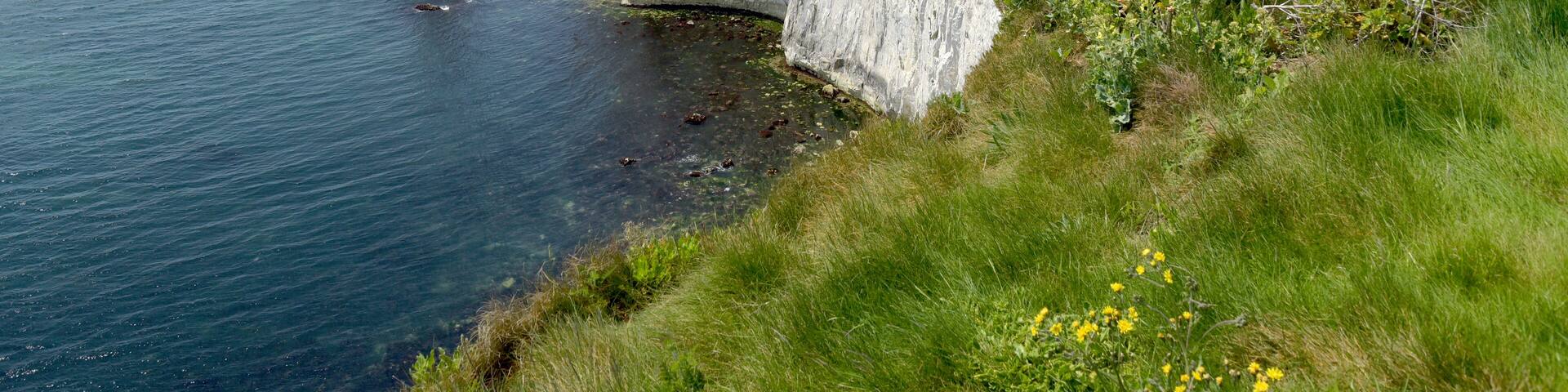 Old Harrys Rocks, Swanage, Dorset; Shutterstock ID 454177753
