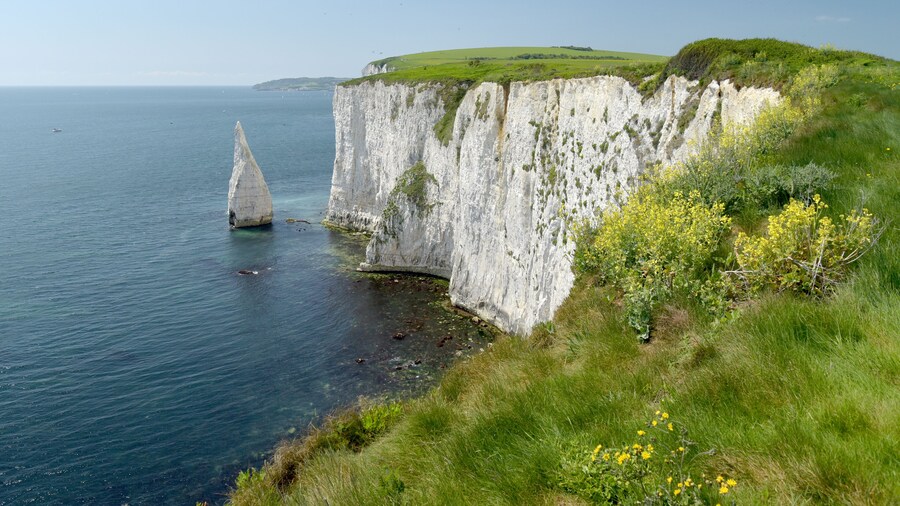Old Harrys Rocks, Swanage, Dorset; Shutterstock ID 454177753