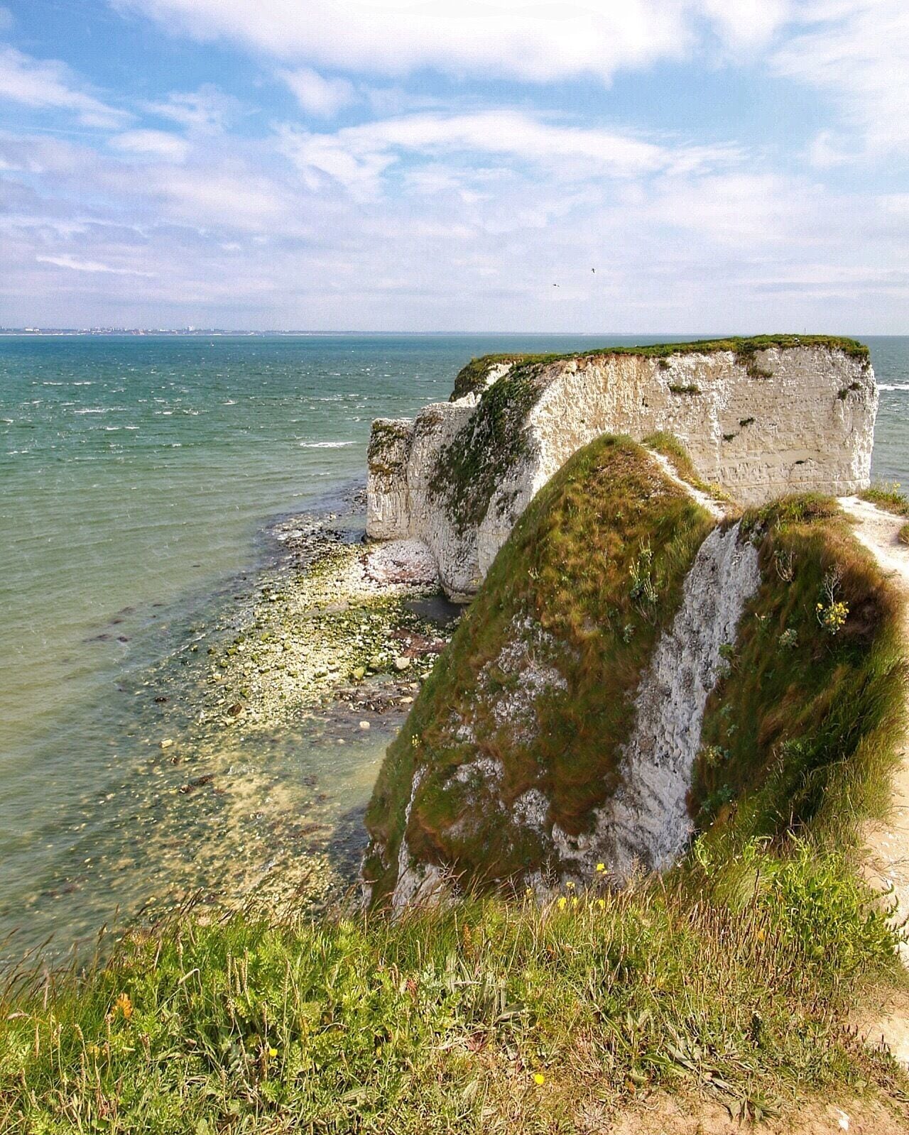 Cool cliff spot in Swanage! Old Harry Rocks 