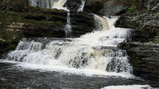 Factory falls.. smallest out the 3 but my favorite.. maybe a mile hike out and back.. not long at all