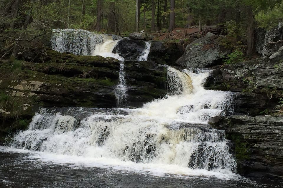 A waterfall cascading over rocks in a forested area.