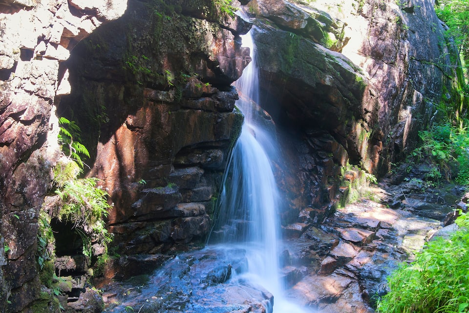 Una cascada se precipita sobre terreno rocoso, rodeado de abundante vegetación.