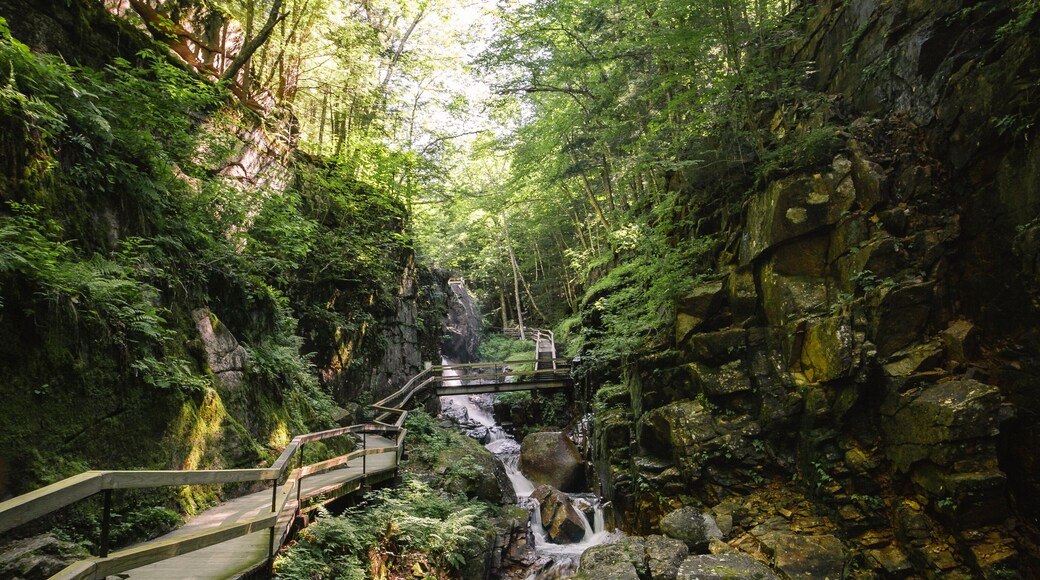 Flume Gorge