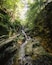 Flume Gorge White Mountain Franconia Lincoln NH New Hampshire