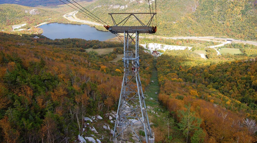 Echo Lake from aerial tramway to the top of Cannon Mountain in Franconia Notch State Park, White Mountian National Forest, New Hampshire, USA.
