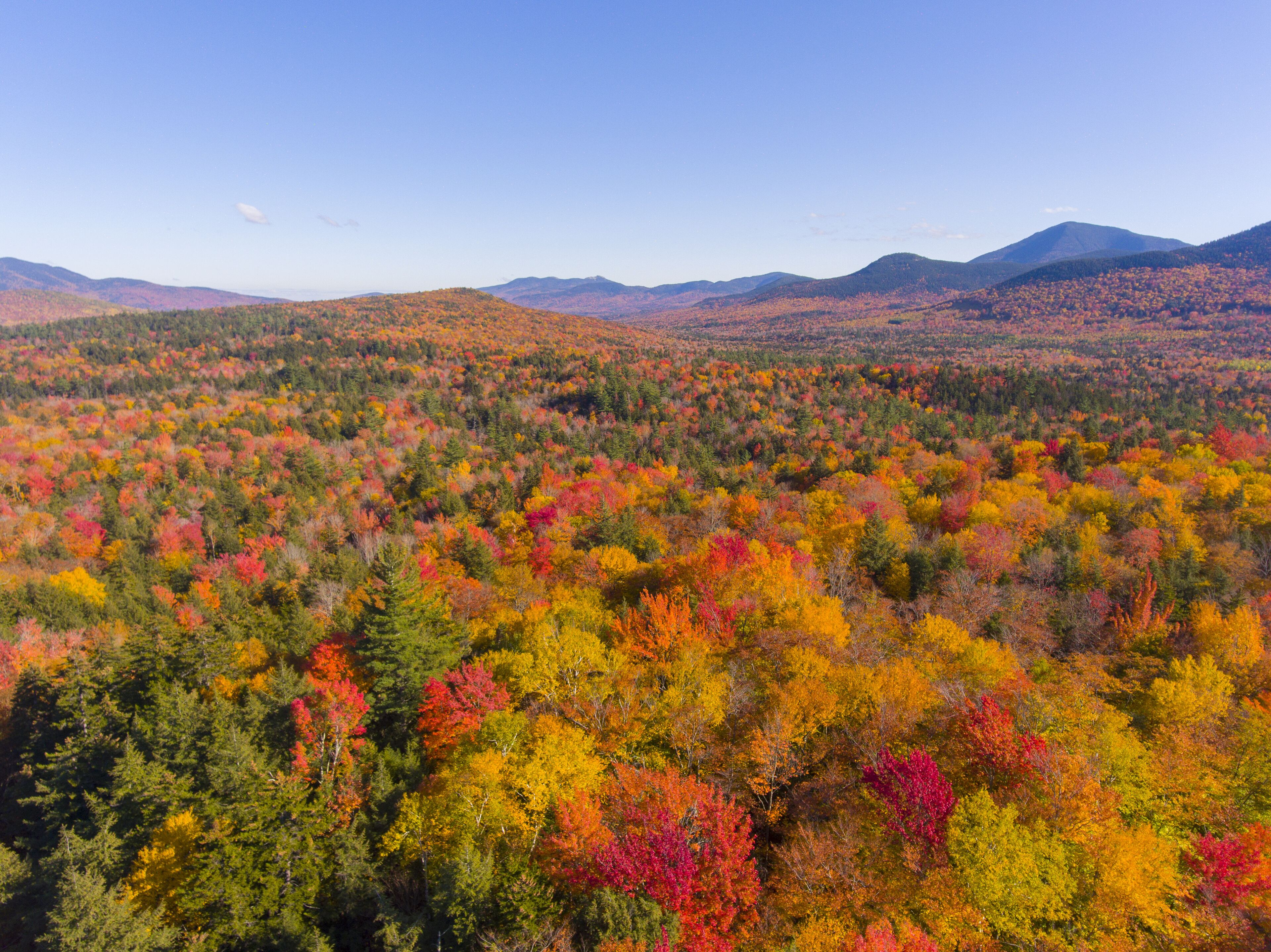 White Mountain National Forest fall foliage on Kancamagus Highway aerial view near Sugar Hill Scenic Vista, Town of Lincoln, New Hampshire NH, USA.