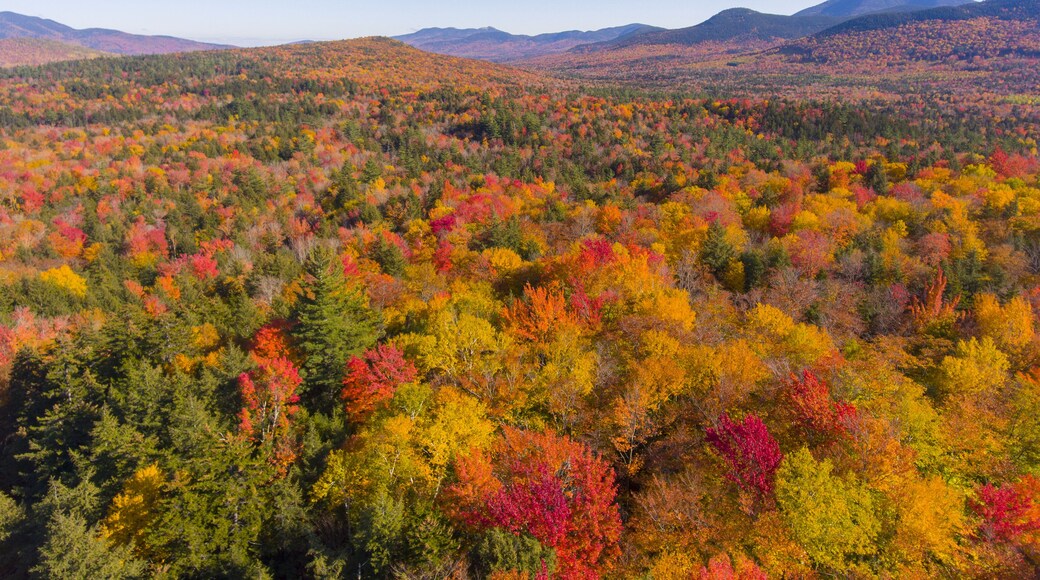 White Mountain National Forest fall foliage on Kancamagus Highway aerial view near Sugar Hill Scenic Vista, Town of Lincoln, New Hampshire NH, USA.