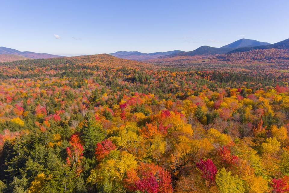 A forested mountain range with autumn foliage.