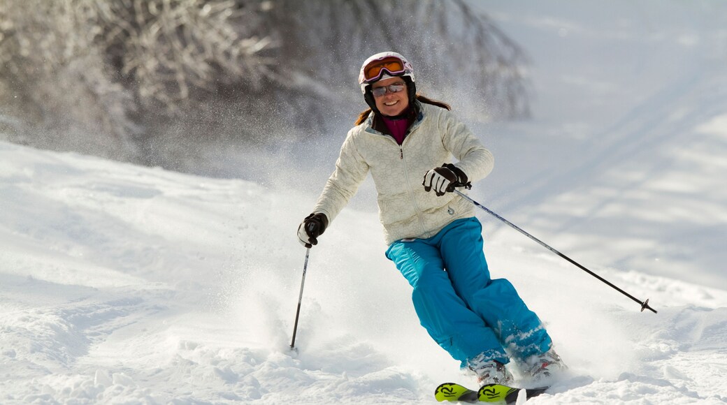 Bretton Woods Ski Area