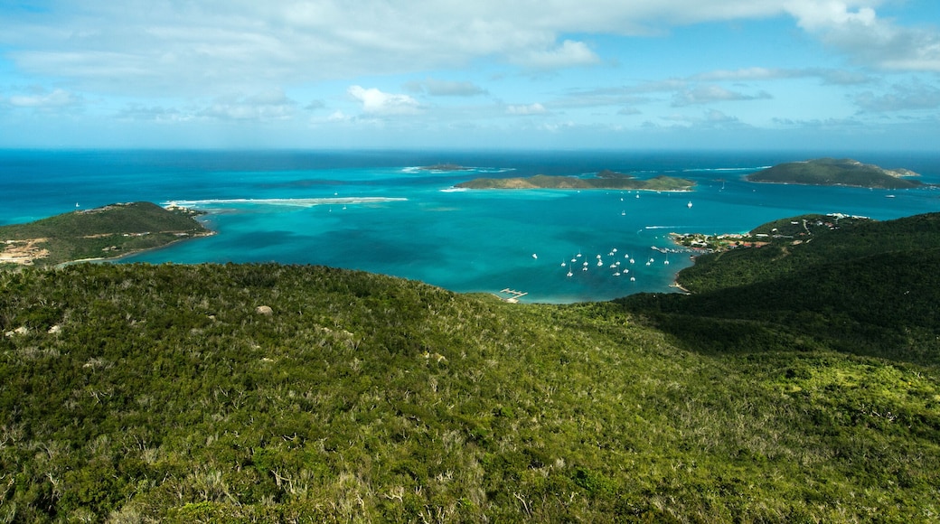 Puerto de Virgen Gorda