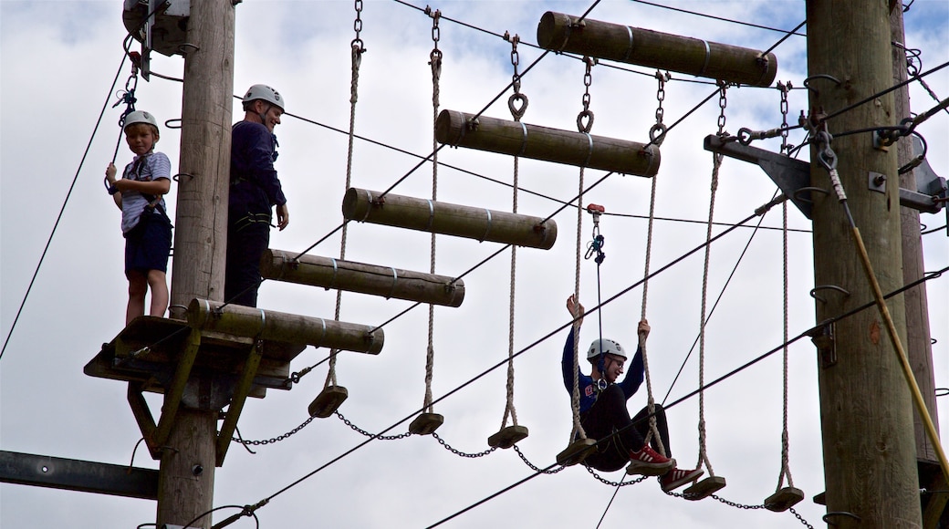 Creepy Valley Adventure Centre which includes a suspension bridge or treetop walkway as well as a small group of people