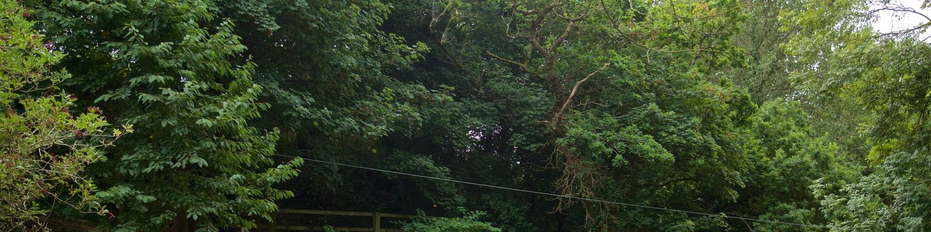Creepy Valley Adventure Centre showing a playground as well as children