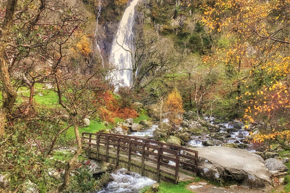 Un pont de fusta sobre un torrent impetuós en una zona boscosa plena de fulles d'automni.