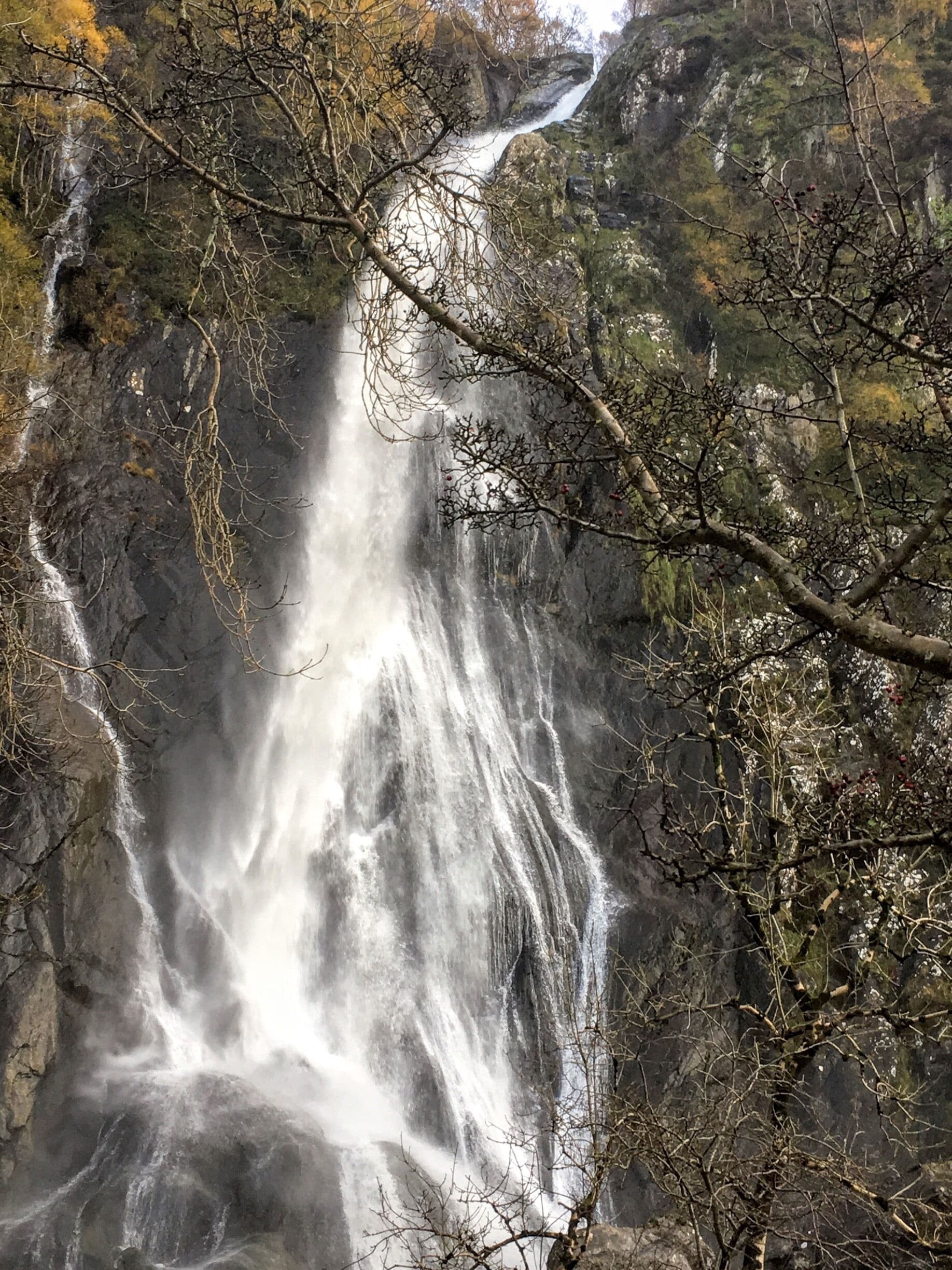 Autumn beauty- Aber Falls in North Wales, through the Woodlands and there are 2 waterfalls Aber Falls, 1st one is easy trek and accessibility and the 2nd is harder to access due stones and boulder. #Autumn #travel #England #waterscape #waterfall 