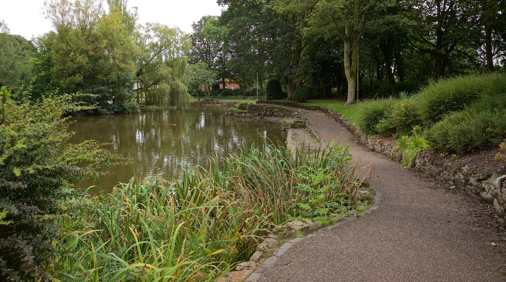 Burslem Park which includes a park and a pond