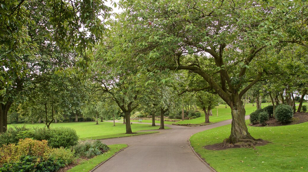 Burslem Park featuring a park