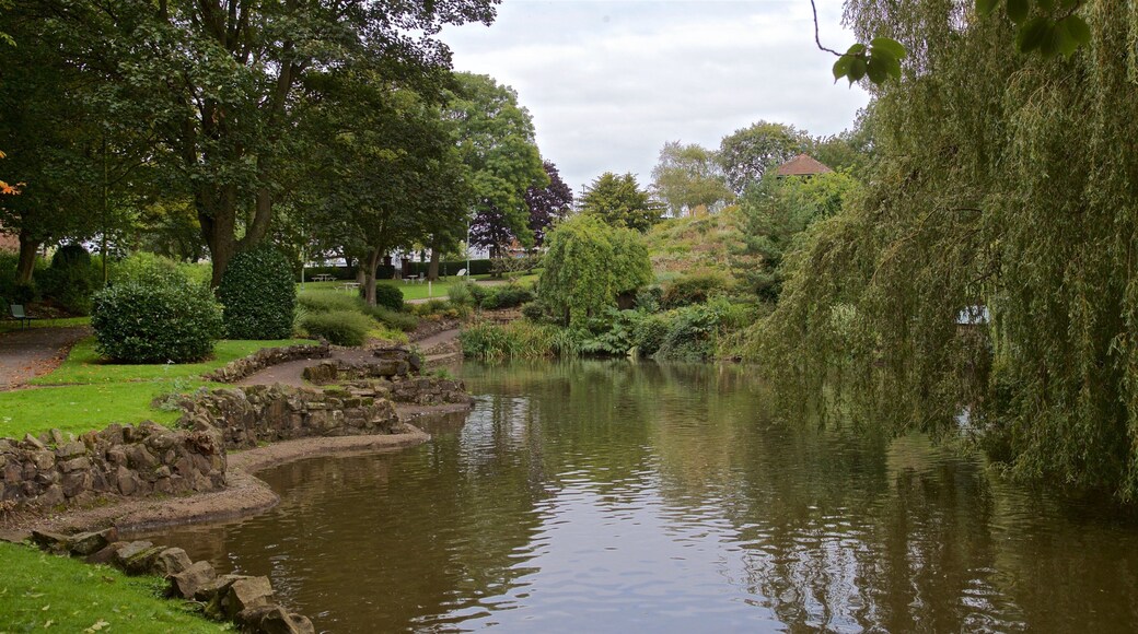 Burslem Park featuring a park and a pond