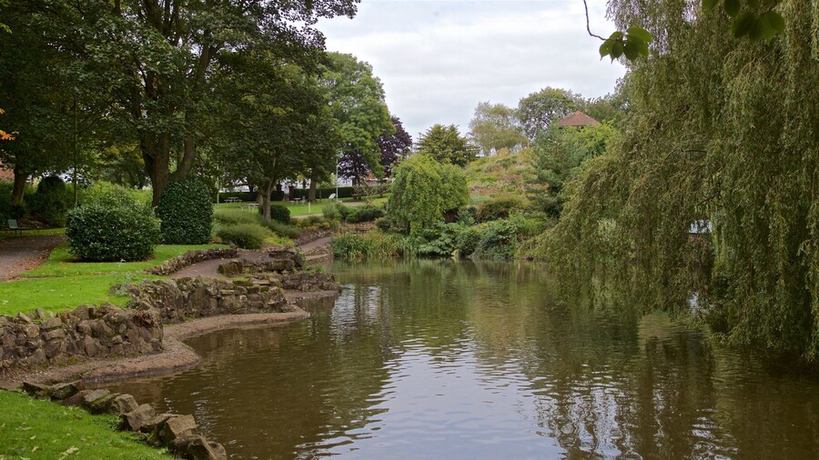Burslem Park mostrando jardín y un estanque