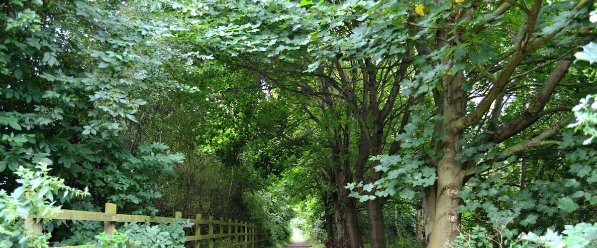 Taken at Foremark Reservoir, Derbyshire, UK.
#Midlands #Derbyshire #ForemarkReservoir #Reservoir #Lake #Water #Woods #Woodlands #Outdoors #Nature