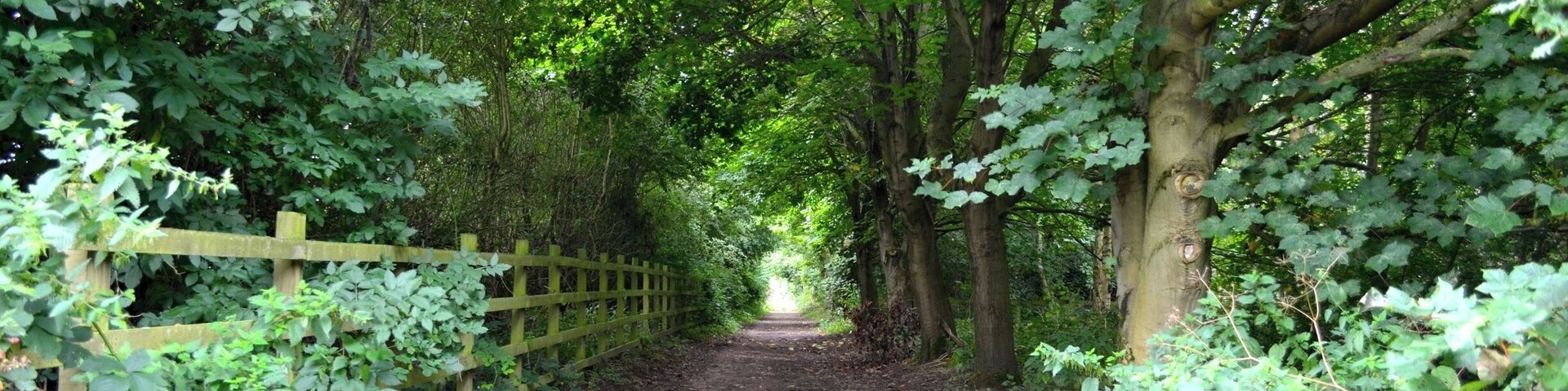 Taken at Foremark Reservoir, Derbyshire, UK.
#Midlands #Derbyshire #ForemarkReservoir #Reservoir #Lake #Water #Woods #Woodlands #Outdoors #Nature