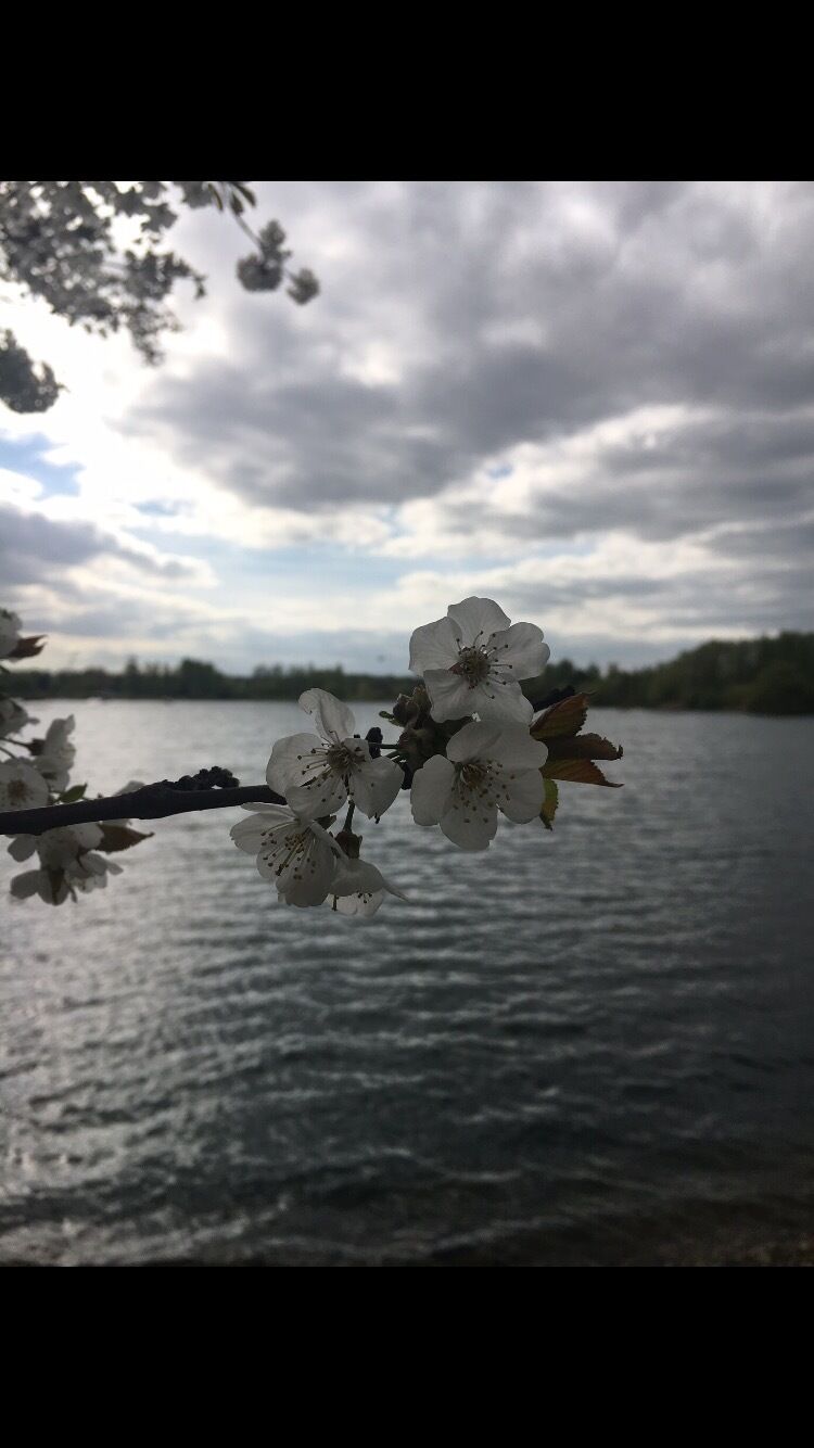 A nice walk around the lake! #SpringFun