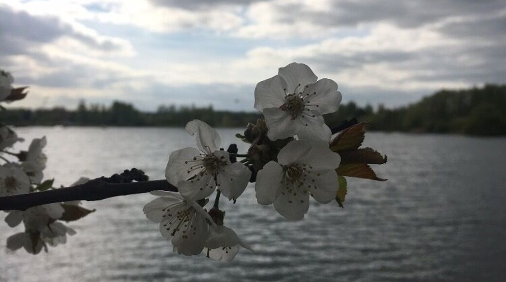 A nice walk around the lake! #SpringFun