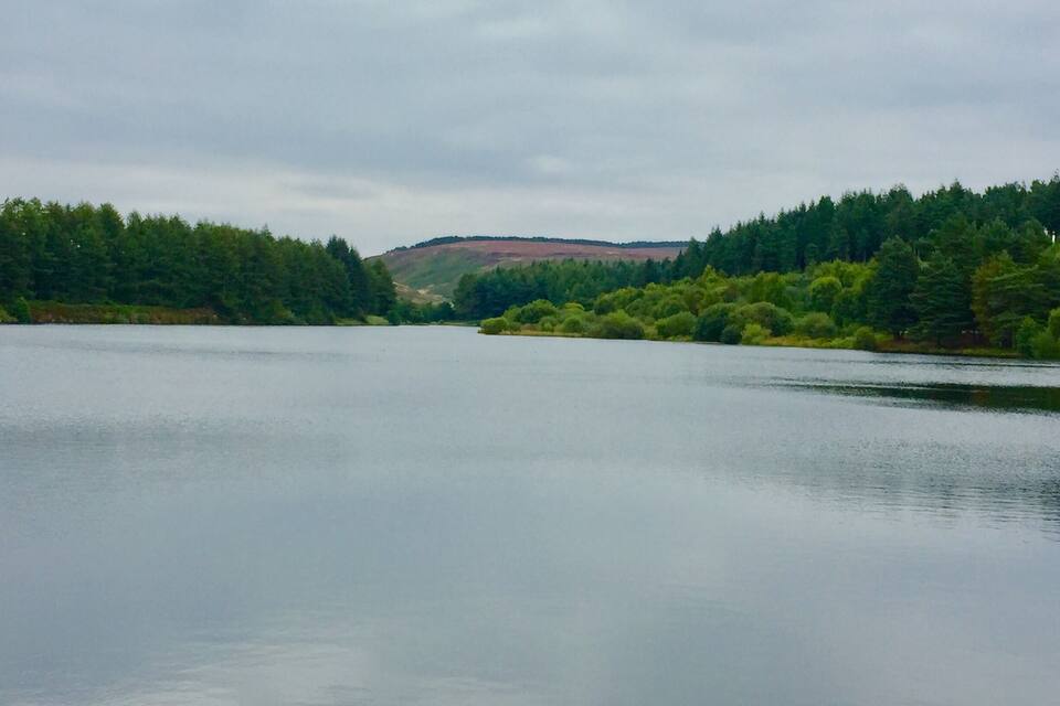 Un llac tranquil envoltat de boscos densos i un turó a la distància.