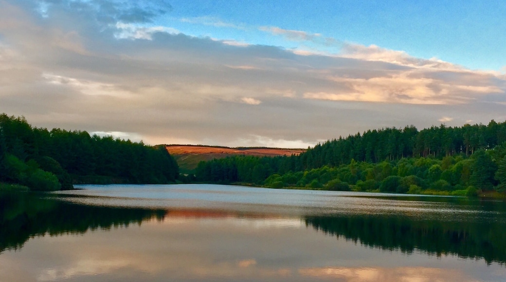 Evening walk around the reservoir. So peaceful.