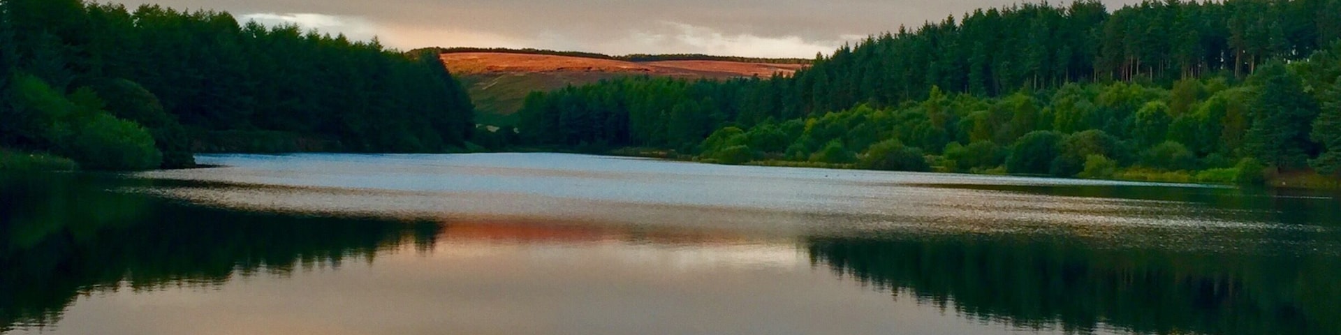 Evening walk around the reservoir. So peaceful.